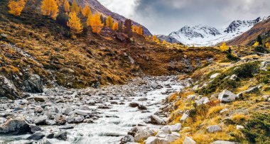 yüksek dağ - sonbahar manzarası