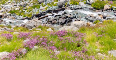 akış yüksek dağlarda