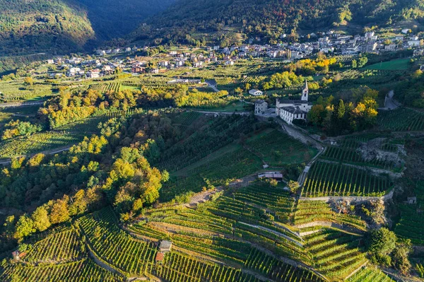 Castionetto Chiuro Valtellina Vineyards Airview — 스톡 사진