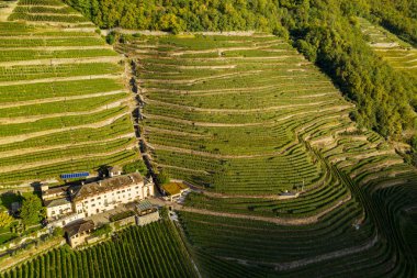 Valtellina (It) - Güneş panelleri olan bir şaraphanenin sonbahar hava görüntüsü