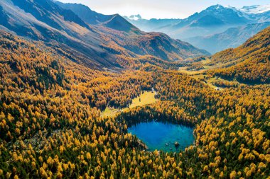 Val di Campo - Engadina (CH) - Autumnal aerial view of the Viola lake clipart