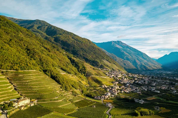 Valtellina Bianzone Widok Lotu Ptaka Winnice Nebbiolo — Zdjęcie stockowe