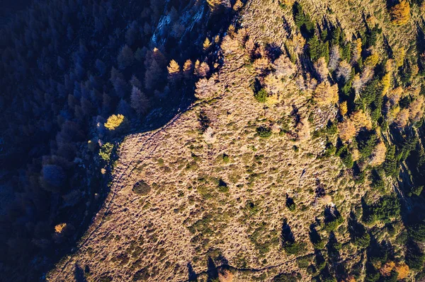 Sondrio Valtellina Höstens Antenn Utsikt Över Alpe Colina — Stockfoto