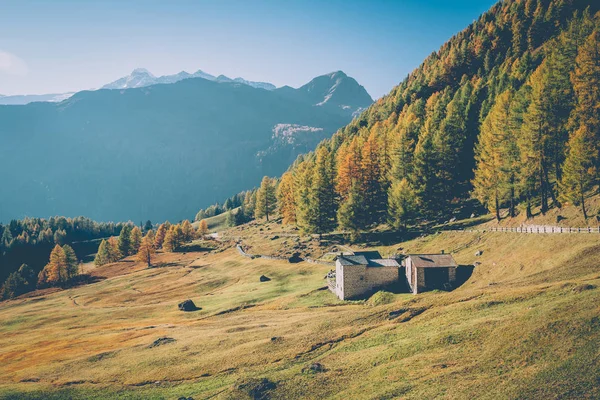 Val Campo Autumn Overview Beginning Valley — Stock Photo, Image