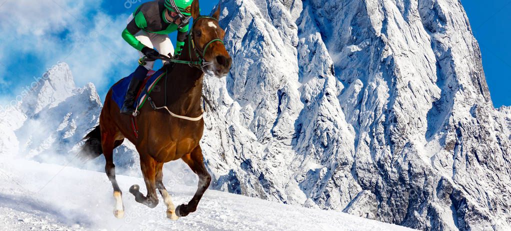 Gallop in the Snowy Alps 