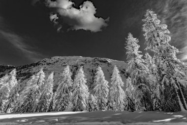 Taze karlı Alp Manzarası - B & W 