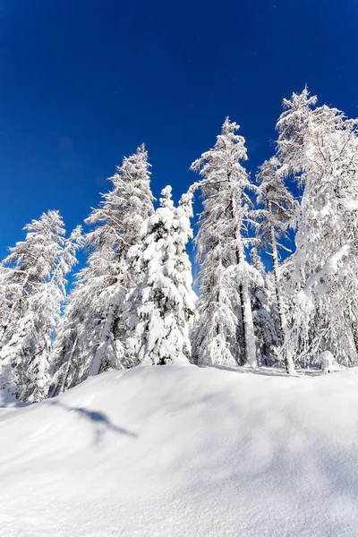 Téli Alpesi Táj Friss Hóval — Stock Fotó