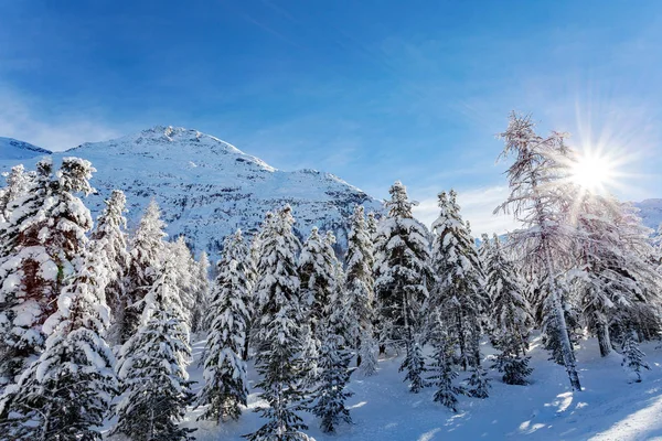 Χειμερινό Αλπικό Τοπίο Φρέσκο Χιόνι — Φωτογραφία Αρχείου