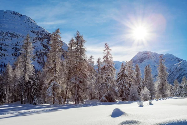 Χειμερινό Αλπικό Τοπίο Φρέσκο Χιόνι — Φωτογραφία Αρχείου