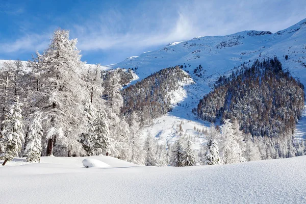 Zimowy Alpejski Krajobraz Świeżym Śniegiem — Zdjęcie stockowe