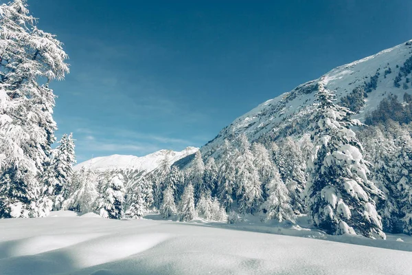 Téli Alpesi Táj Friss Hóval — Stock Fotó