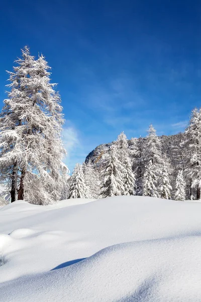 Paysage Alpin Hivernal Avec Neige Fraîche — Photo