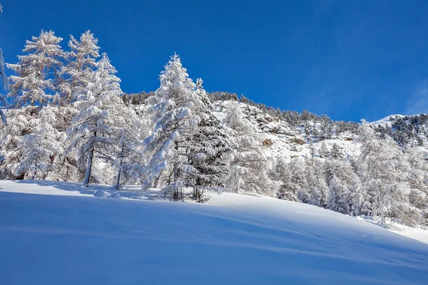 Zimowy Alpejski Krajobraz Świeżym Śniegiem — Zdjęcie stockowe