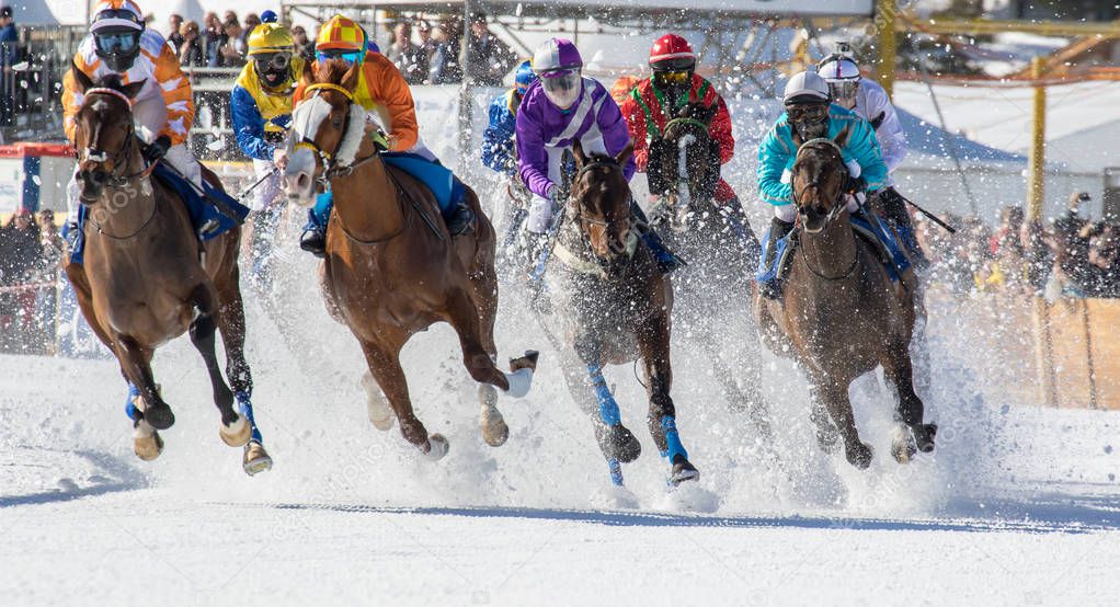 Engadina (CH) - Horse race on the snow White Turf 