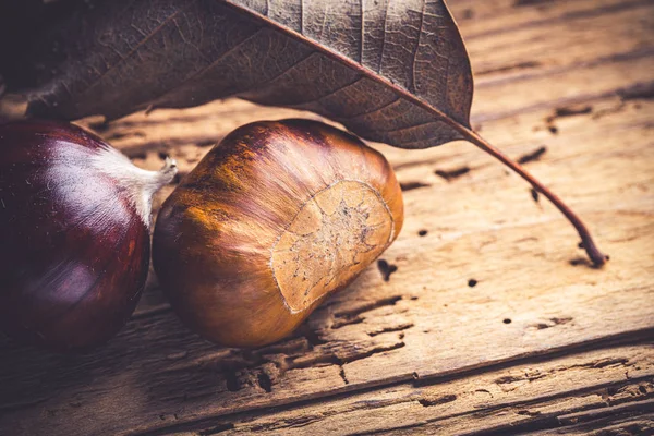 Frische Kastanienernte Stillleben — Stockfoto