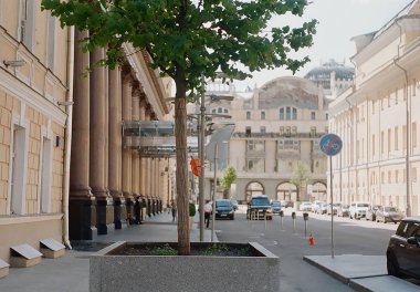 Moskova, Tverskaya st., ağaç