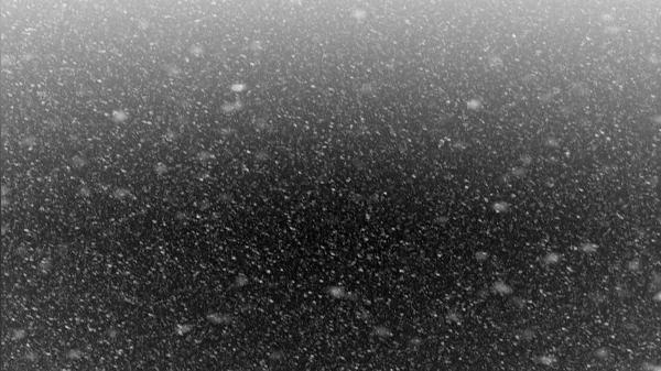 Eerste Sneeuw Vallen Zwarte Achtergrond Overlays Perfecte Textuur Voor Kerstmis — Stockfoto