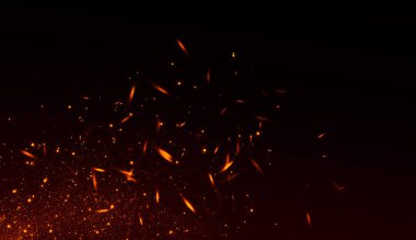 Realistic isolated fire effect  for decoration and covering on black background. Concept of particles , sparkles, flame and light. clipart