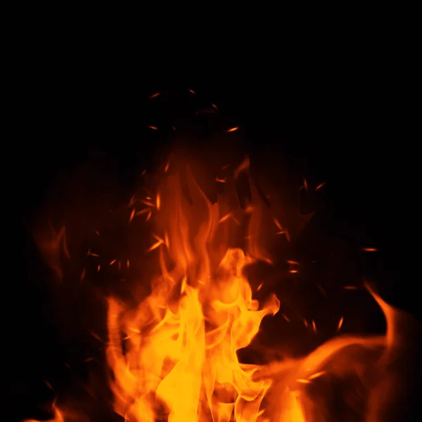 Texture of burn fire with particles embers. Flames on isolated black background.