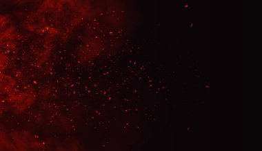 Fire particles debris isolated on black background for text or space . Film texture effect. clipart