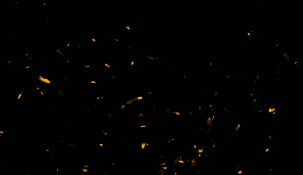 Желтые частицы эффекта пыли обломки изолированы на заднем плане, движения порошок спрей . — стоковое фото