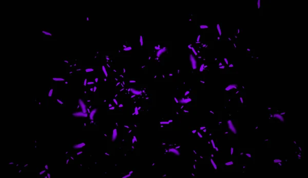 Les particules violettes agissent sur les débris de poussière isolés sur fond noir pour bannière, flyer, couverture et affiche . — Photo