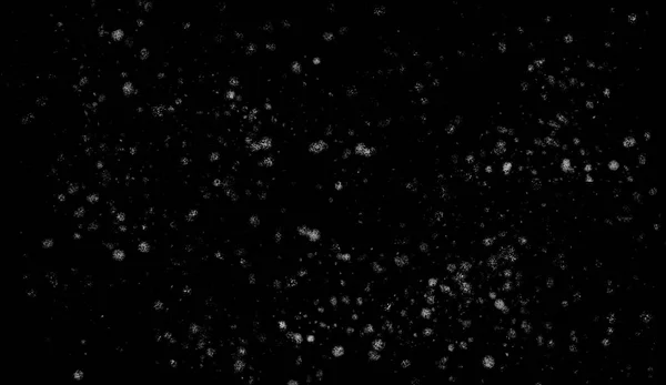 Freeze motion of white snow coming down, isolated on black background. Design texture element. — Stock Photo, Image