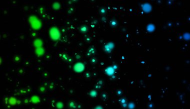 Bokeh doku soyut. Parlak renkli. Tasarım arka plan öğesi.