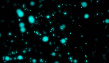 Bokeh doku soyut. Parlak renkli. Tasarım arka plan öğesi.