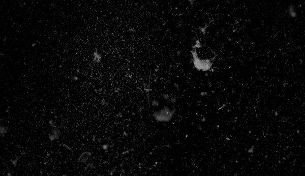 Текстура царапин, щепок, царапин на старой поверхности. Накладки эффекта старой пленки
