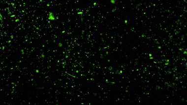 Parlak ışıklar arka plan. Soyut karanlık glitter ateş parçacıkları ışıklar dokusu veya doku bindirmeleri