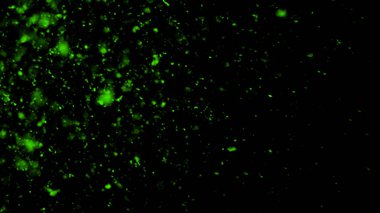 Parlak ışıklar arka plan. Soyut karanlık glitter ateş parçacıkları ışıklar dokusu veya doku bindirmeleri