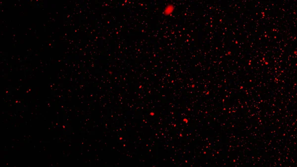 Perftect red particles embers on background. Abstract dark glitter fire particles lights texture or texture overlays. Design texture.