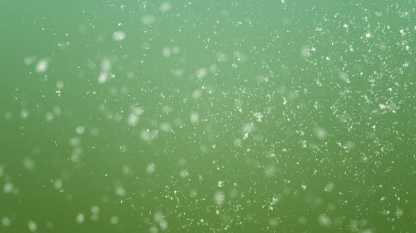 First falling snow texture overlays on green background.