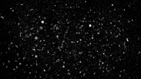 Vries beweging van witte sneeuw die naar beneden komt, geïsoleerd op zwarte achtergrond. — Stockfoto