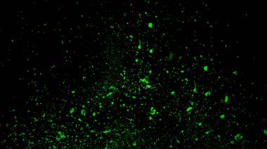 Yeşil parçacıklar siyah arka plan, hareket tozu sprey patlama izole toz enkaz etkisi. Tasarım öğesi.