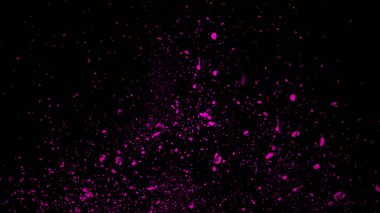 Mor parçacıklar enkaz metin veya boşluk için siyah arka plan üzerinde izole . Kaplamalar doku efekti.