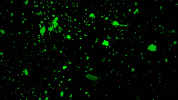 Green particles effect dust debris isolated on black background, motion powder spray burst. Design element.