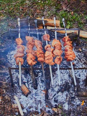 Doğada şiş üzerinde et kebap yemek