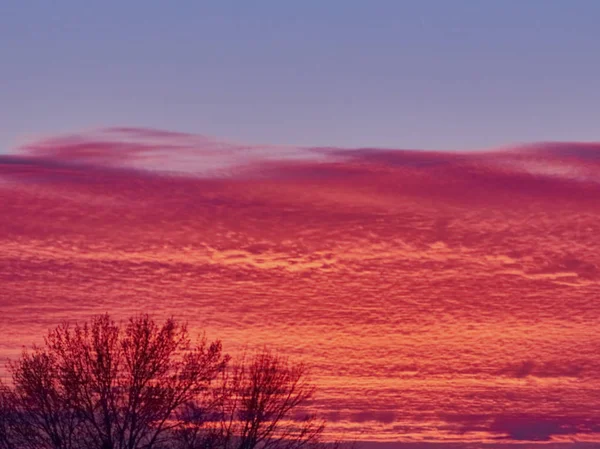 Coucher de soleil avec nuages stratus rouges et ciel bleu — Photo
