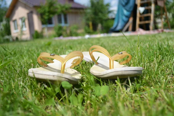 Seçici odak yaz kavramı, lastik terlikler cottage yakınındaki çim 