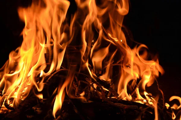 Alev arka plan Temmuz gecede yanan bir çırpı üzerinden küçük bir şenlik ateşi yakın çekim.