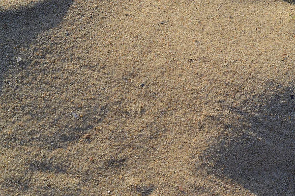 Karadeniz sahilinde açık sarı deniz kumu. Işık ve gölgede.