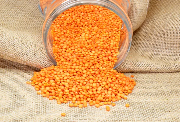 organic foods pulses and lentils