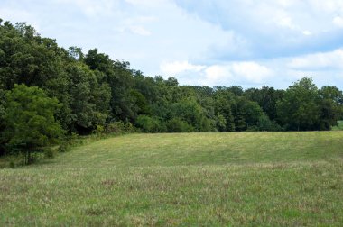 Taze mowed alan, büyük yeşil ağaçlar, mavi gökyüzü ve beyaz coulds Missouri'de bir güzel yaz günü sahne yapar.