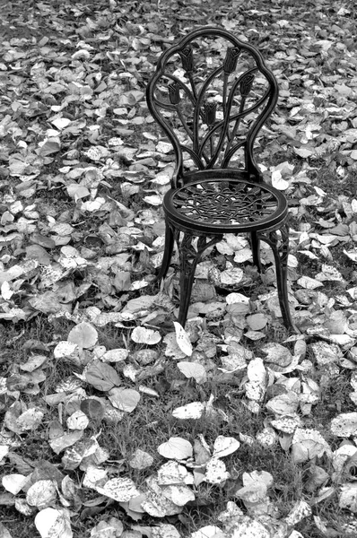 A single chair sits amongst leaves in this black and white portrait.