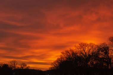Gökyüzüne bu güzel sarı arkaplanla siluet ağacı tepeli bir mesaj yaz..