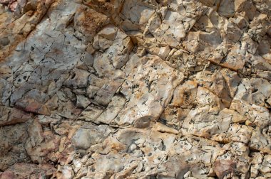 Sırtlar, çatlaklar ve yarıklar bu kaya oluşumunda ilginç bir bakdground veya doku yapar.