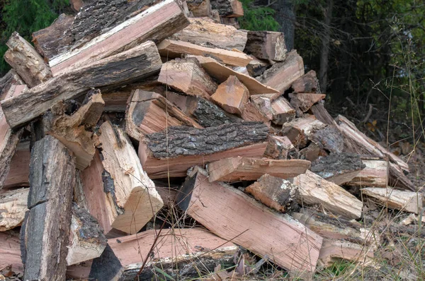 Hög Med Trä Har Skurits Och Delas Och Sitter Skogen — Stockfoto