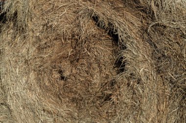 Saman büyük bir yuvarlak balya güzel bir doku veya arka plan yapar.